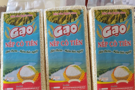 Gạo Nếp Cô Tiên Nghĩa Sơn 